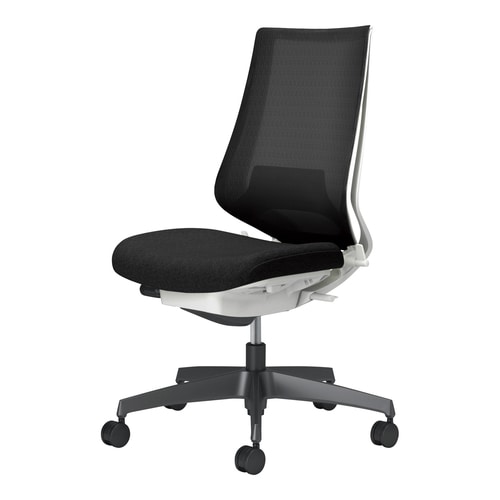 デュオラ2チェアC08−B202MU−WE6E61