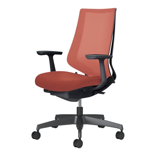 デュオラ2チェアC08−B210MU−BAGAG1