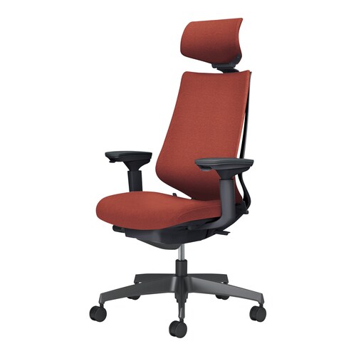 デュオラ2チェアC08−B330CW−BAGAG1