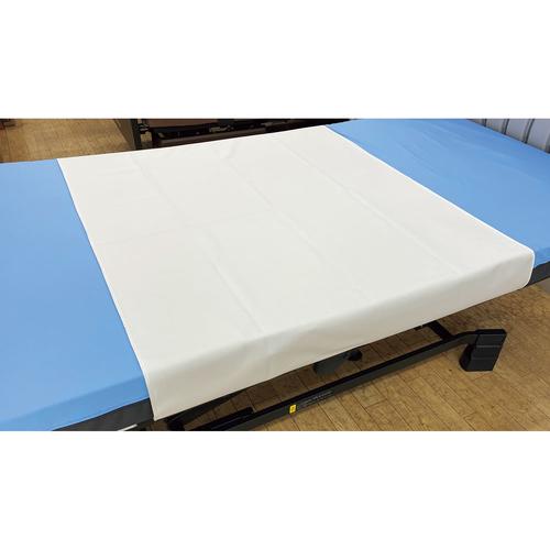 すがすがシーツ LSO1001IV ベージュ