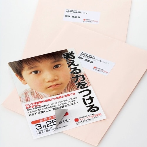 下地が透けないマルチラベル(12面)