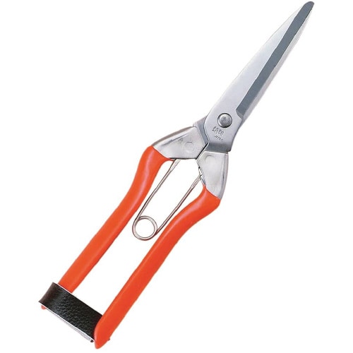 ステンレス収穫鋏