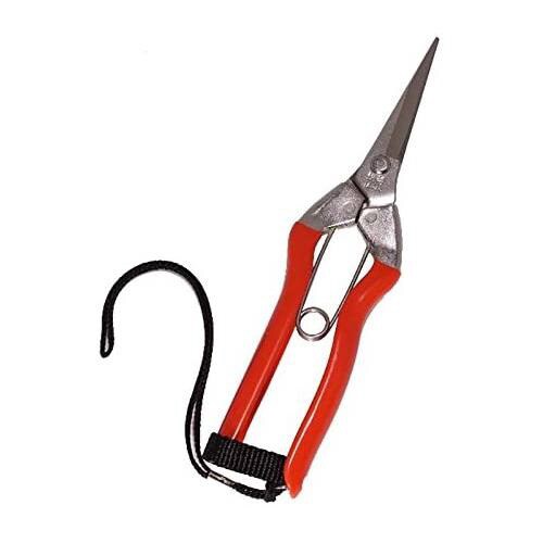 ステンレス摘果鋏