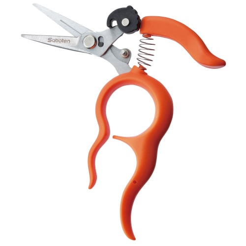 ステンぶどう摘粒鋏