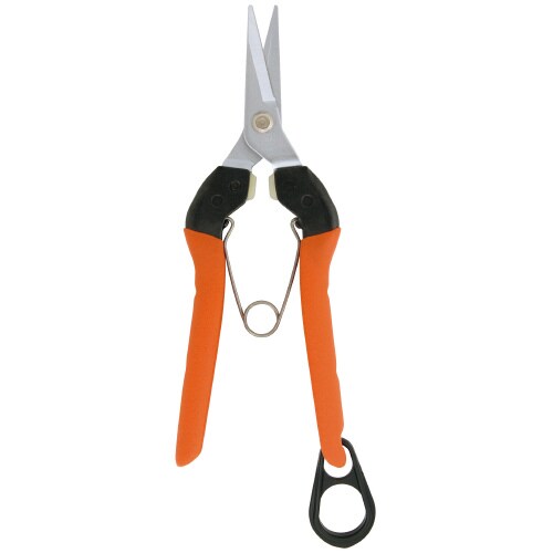 B−8ぶどう収穫専用鋏