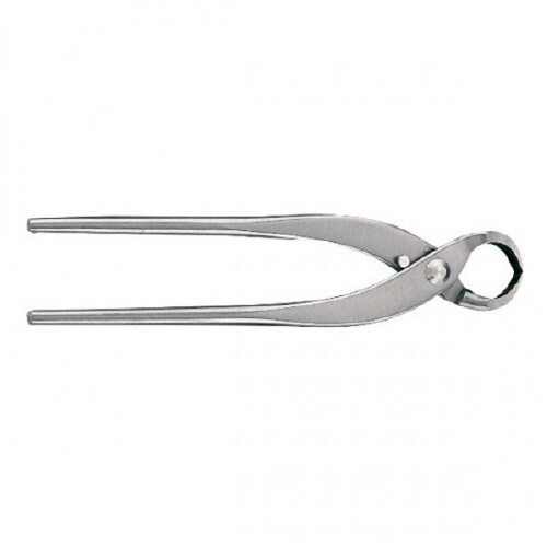 ステンレス根切大