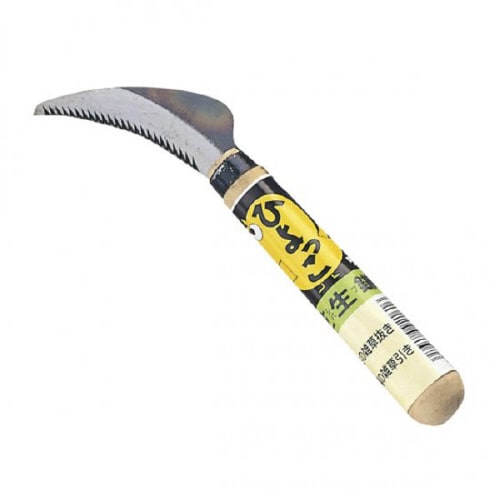 ひよっこ芝生鎌