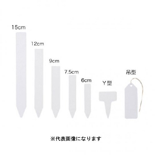 FGラベル6cm100枚入