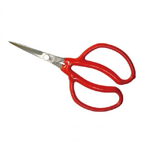 ステンレスブドウ鋏