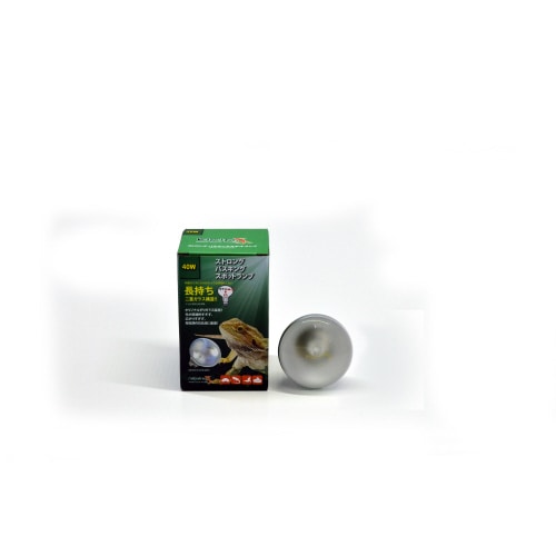 バスキングスポットランプ