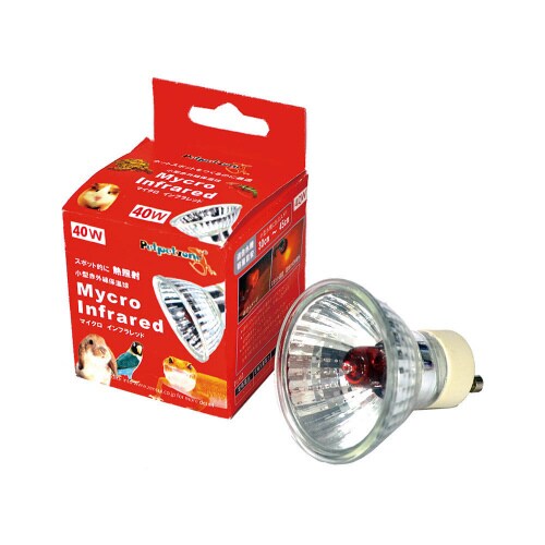 マイクロインフラレッド