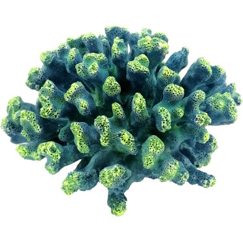 ZESTレプリカサンゴ