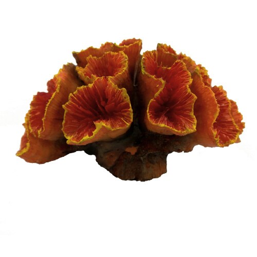 ZESTレプリカサンゴ