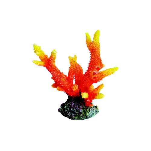 ZESTレプリカサンゴ