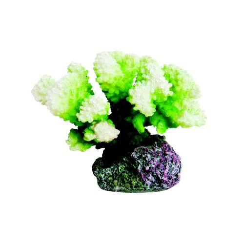 ZESTレプリカサンゴ