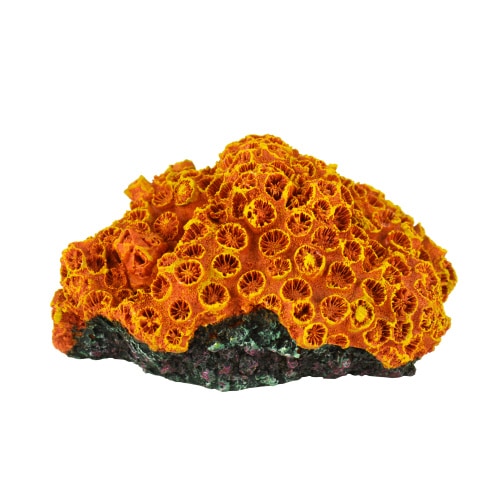 ZESTレプリカサンゴ