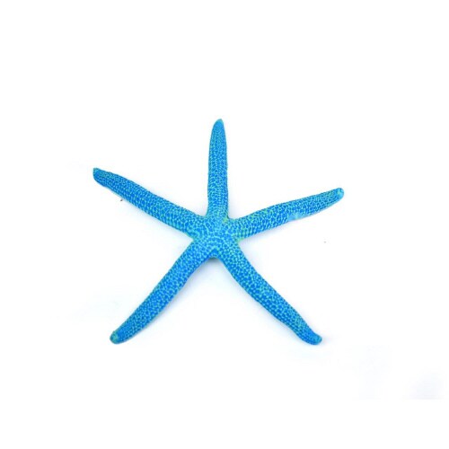 レプリカサンゴ