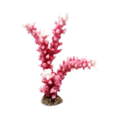 レプリカサンゴ