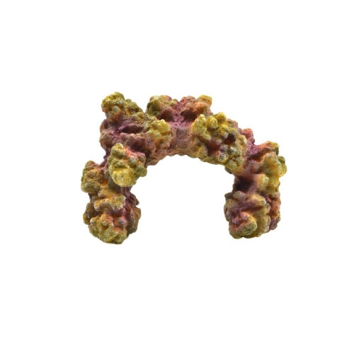 レプリカサンゴ