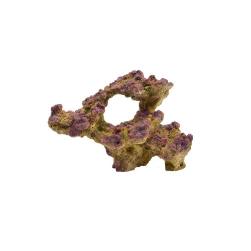 レプリカサンゴ