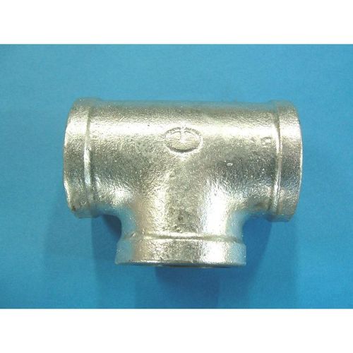 白 チーズ バンド付_20A