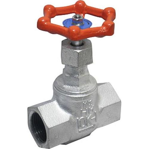 マレブル汎用ジスク入玉形弁【強化PTFE】