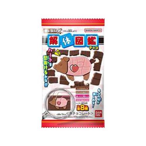 バンダイ キャラパキ 解体図鑑 1個 x14