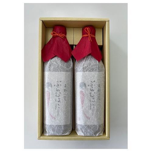 王隠堂農園プラムハニー2本入りセット