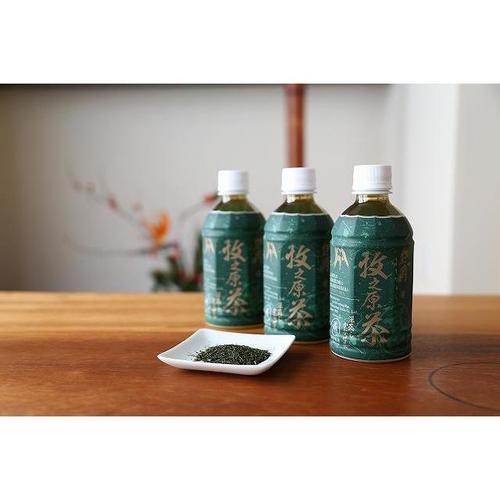 牧之原の「雫茶」プレミアムペットボトル