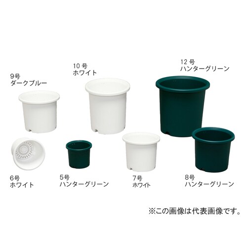 ディーポット 5号 ホワイト