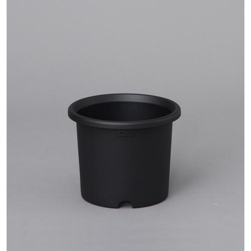 菊鉢 6号 グレー