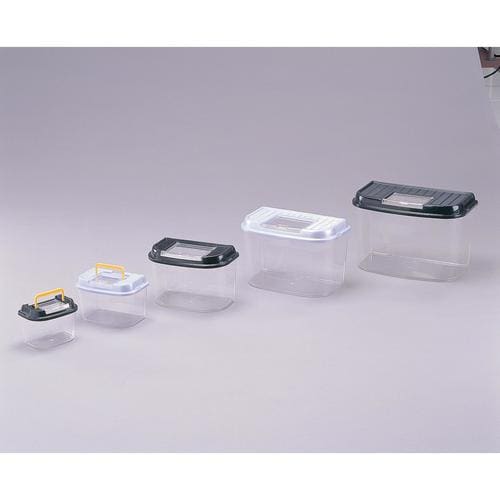 飼育ランド M パールブルー