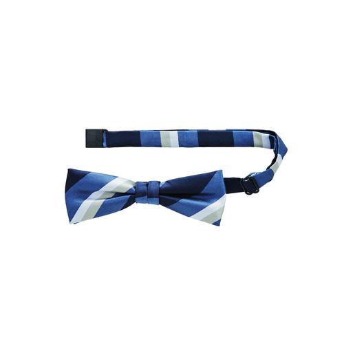 蝶タイFA9219ネイビー×グレーF