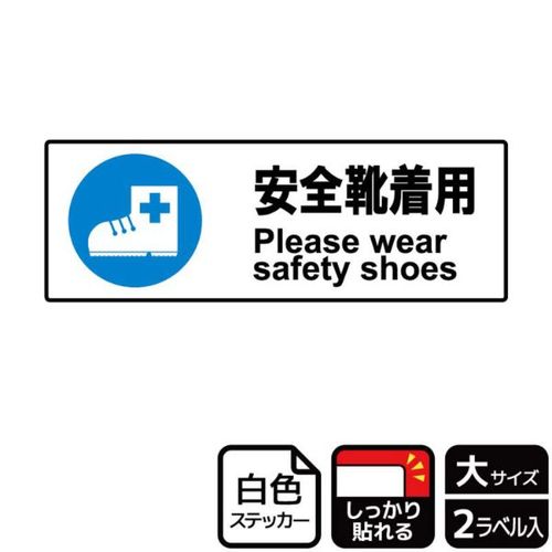 SCp
