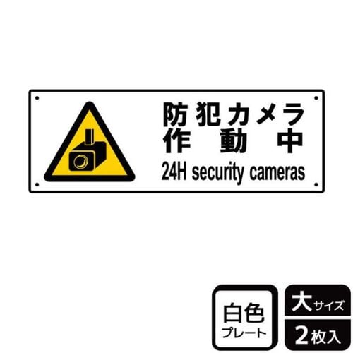 KTK2077防犯カメラ作動