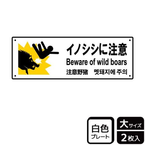 KTK2104イノシシに注意