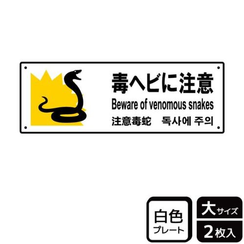 KTK2106毒蛇に注意