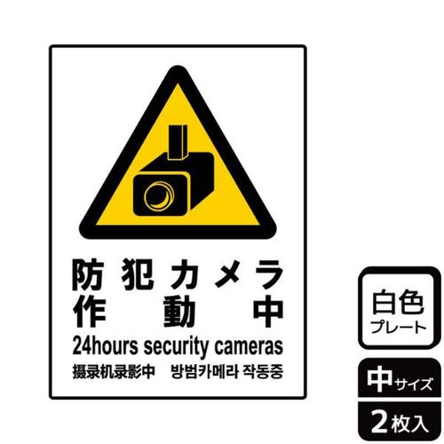 KTK3040防犯カメラ作動中