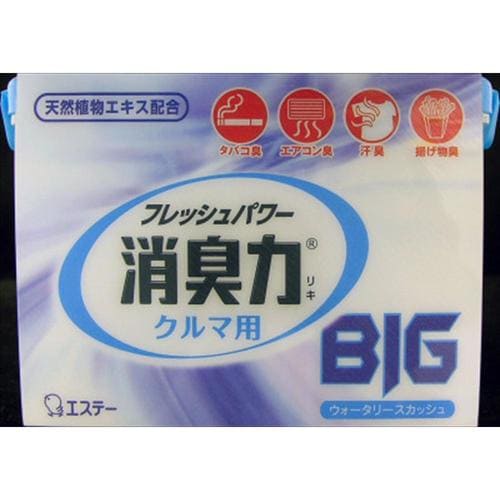 消臭力クルマ用 BIG Wスカッシュ 900G×4