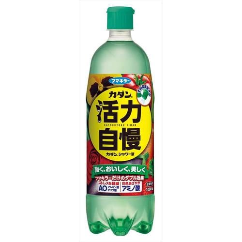 カダンシャワー液E1000ml 10個