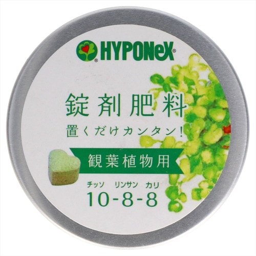 錠剤肥料 観葉植物用 4個