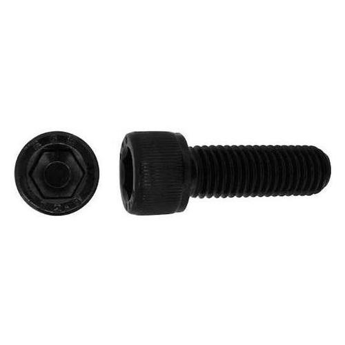 CAP EGM 20 × 300 (20