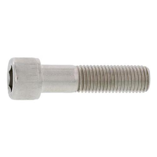 ステンCAP 輸入品 3×8 (1000