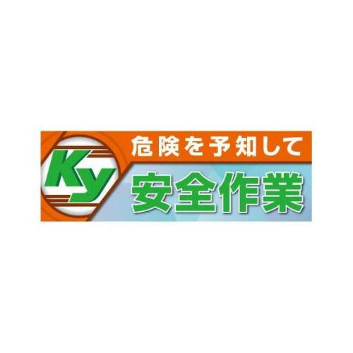 댯\mĈS