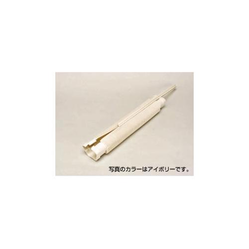 \Wo