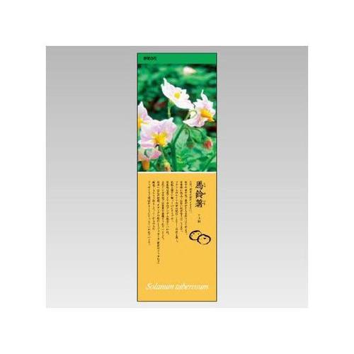 シールギャラリー じゃがいも 916−3