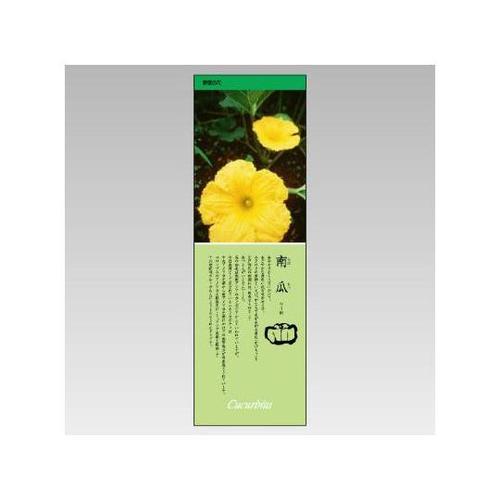 シールギャラリー かぼちゃ 916−34