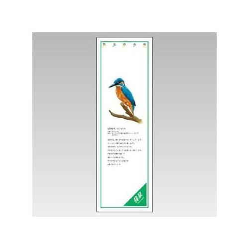 シールギャラリー カワセミ 916−41