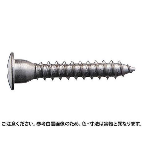 FS10タッピンねじ4×25300