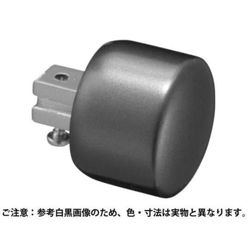BR753エンドキャップ35径AG